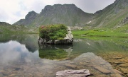 53 Il sasso fiorito del Lago superiore...